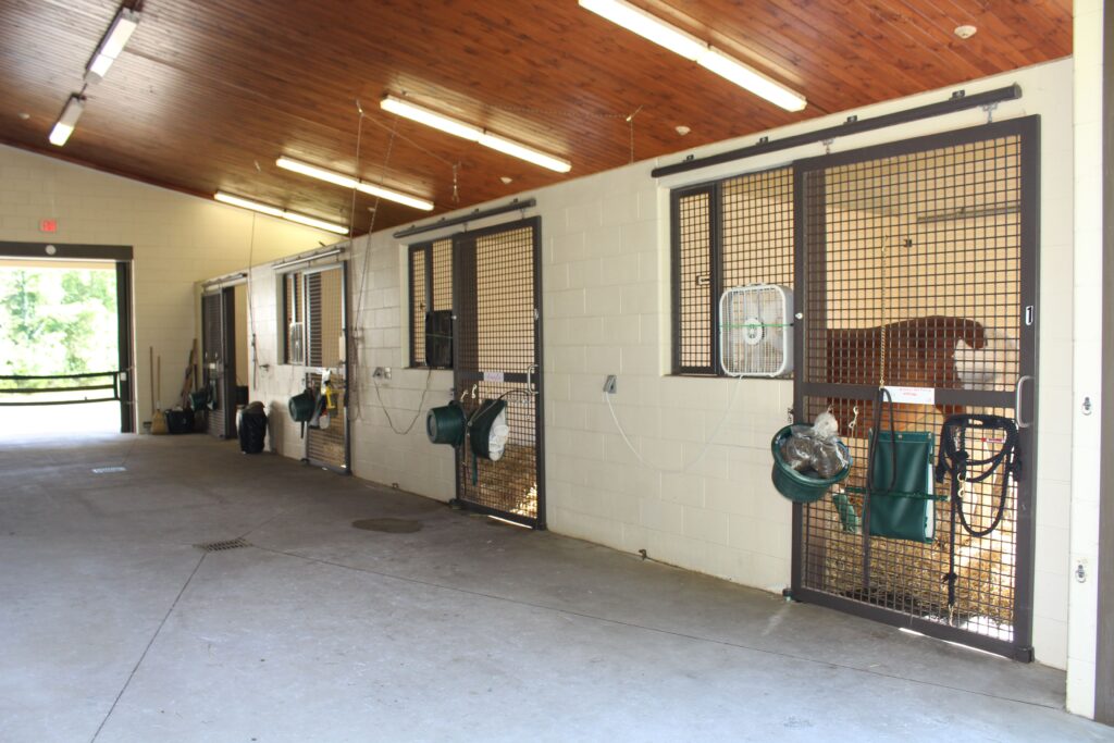 A row of stalls in the middle of a stable.