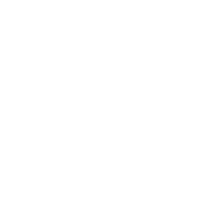 A black and white picture of lungs