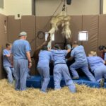 A group of people in blue scrubs are standing around.