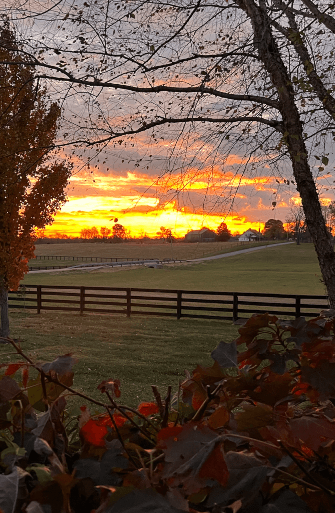 A sunset over the farm with trees in front of it.