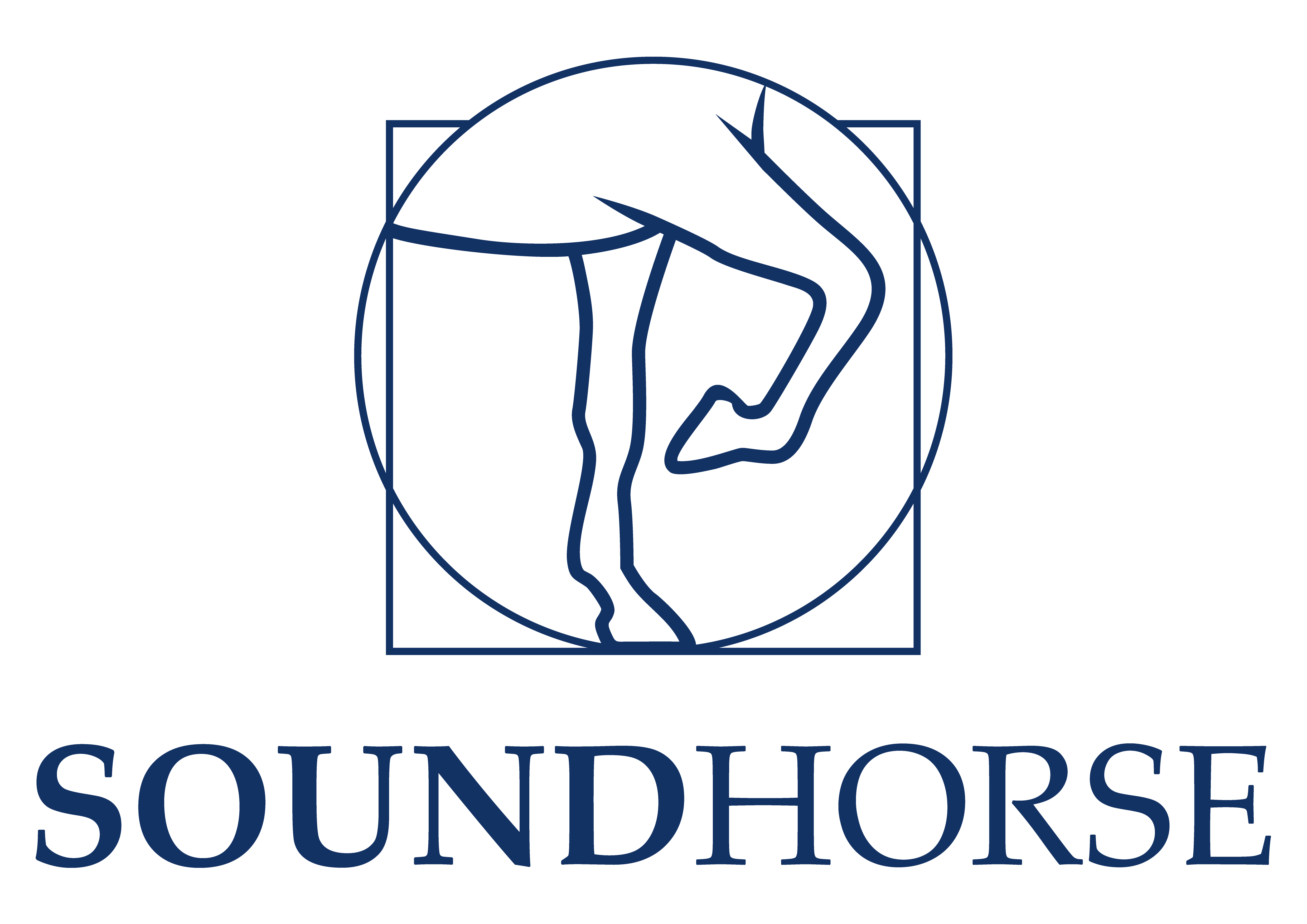 A blue logo of the word " poundhorse ".